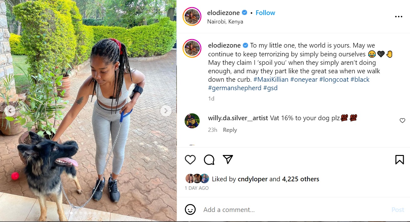 Kenyans cheekily react to Elodie Zone treating her dog like a King!